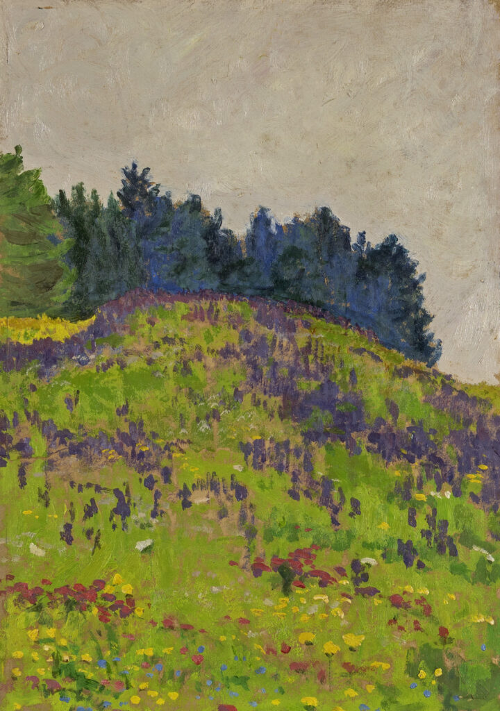 Sigismund Righini: Zwischen Witikon und Pfaffhausen, 15.6.1906, Öl auf Karton, Inv.Nr. SR 132. Foto Reto Pedrini © Stiftung Righini-Fries Zürich Sigismund Righini: Zwischen Witikon und Pfaffhausen, 15.6.1906, Öl auf Karton, Inv.Nr. SR 132. Foto Reto Pedrini © Stiftung Righini-Fries Zürich