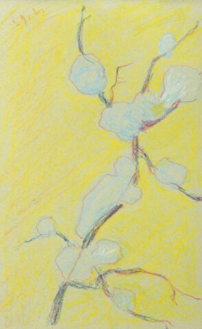 Sigismund Righini: Zweig im Winter, 24.2.1931, Farbstift auf Papier, Inv.Nr. SR 501. Foto: Reto Pedrini © Stiftung Righini-Fries Zürich