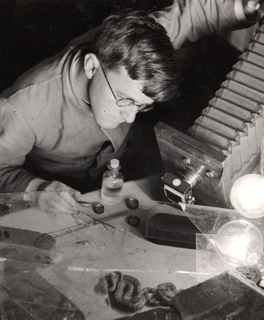 Gotthard Schuh: Selbstaufnahme beim Fotografieren einer Schlage, um 1930 © Gotthard Schuh / Fotostiftung Schweiz Gotthard Schuh: Selbstaufnahme beim Fotografieren einer Schlage, um 1930 © Gotthard Schuh / Fotostiftung Schweiz