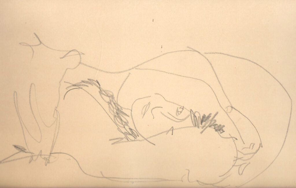 Gotthard Schuh: Liegende, um 1960, Bleistift auf Papier, 23 x 34 cm. Foto: Reto Pedrini © Privatsammlung Gotthard Schuh: Liegende, um 1960, Bleistift auf Papier, 23 x 34 cm. Foto: Reto Pedrini © Privatsammlung