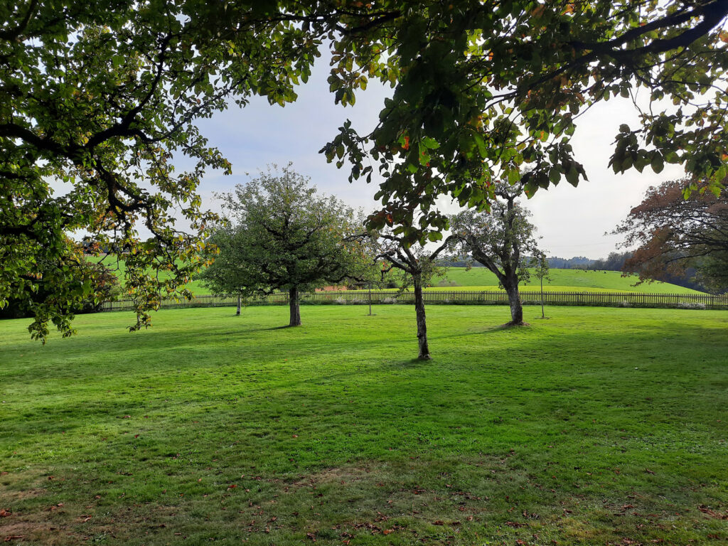 Garten von Cuno Amiet auf der Oschwand, 2023 © Stiftung Righini-Fries Zürich Garten von Cuno Amiet auf der Oschwand, 2023 © Stiftung Righini-Fries Zürich