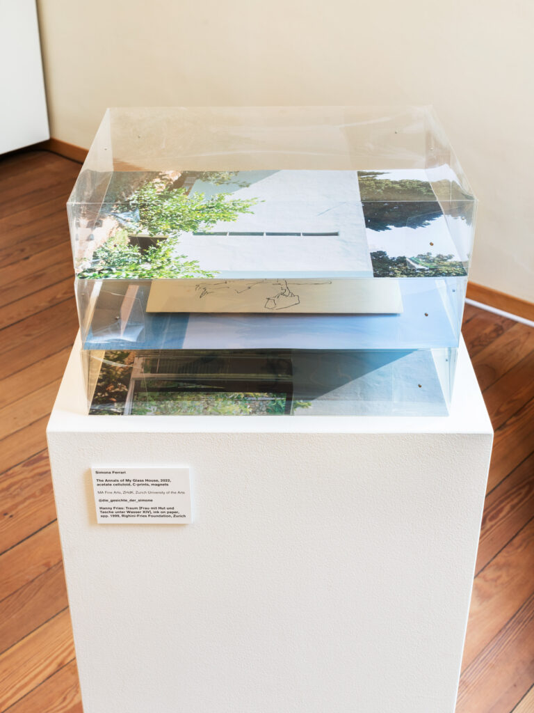 Simona Ferrari: The Annals of My Glass House, 2022, Acetat-Zelluloid, C-Prints, Magnete. Foto © Marcel Rickli Simona Ferrari: The Annals of My Glass House, 2022, Acetat-Zelluloid, C-Prints, Magnete. Foto © Marcel Rickli