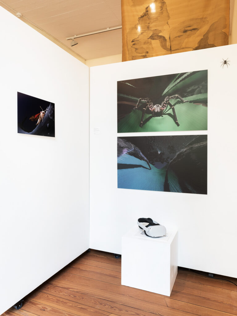 Barbara Schuler: Mit den Sinnen einer Spinne – Ein arachnozentrisches Erlebnis, 2022, virtual reality film. Foto © Marcel Rickli Barbara Schuler: Mit den Sinnen einer Spinne – Ein arachnozentrisches Erlebnis, 2022, virtual reality film. Foto © Marcel Rickli
