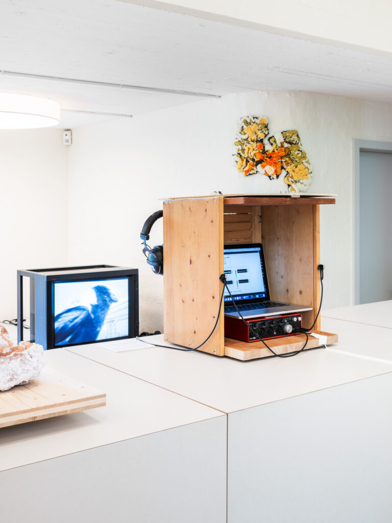 Ausstellungsansicht Atelier Righini Fries, 2024. Foto: Marcel Rickli © Stiftung Righini-Fries Zürich Ausstellungsansicht Atelier Righini Fries, 2024. Foto: Marcel Rickli © Stiftung Righini-Fries Zürich