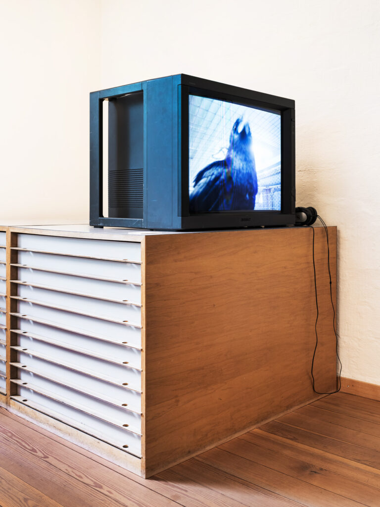 Elio Lüthi: Talk to me, video, 2024. Foto © Marcel Rickli Elio Lüthi: Talk to me, video, 2024. Foto © Marcel Rickli