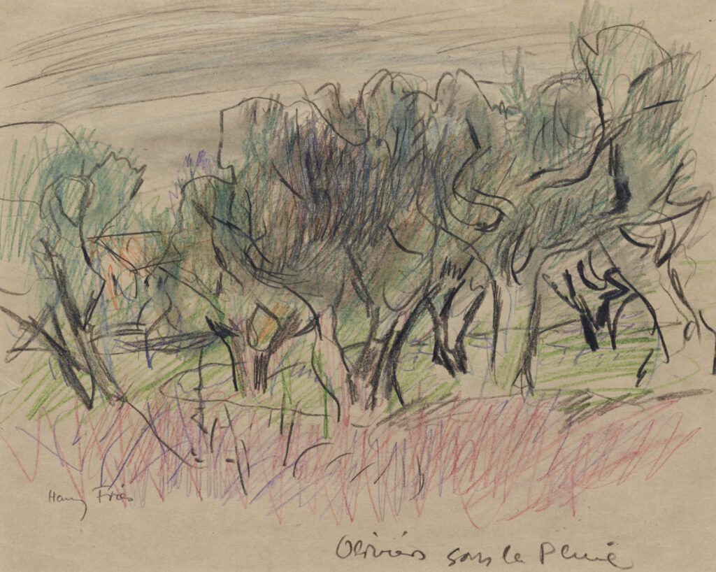 Hanny Fries: Oliviers sous la pluie [Olivenbäume im Regen], um 1949, Farbstift auf Papier, Inv. Nr. HF 115. © Stiftung Righini-Fries Zürich