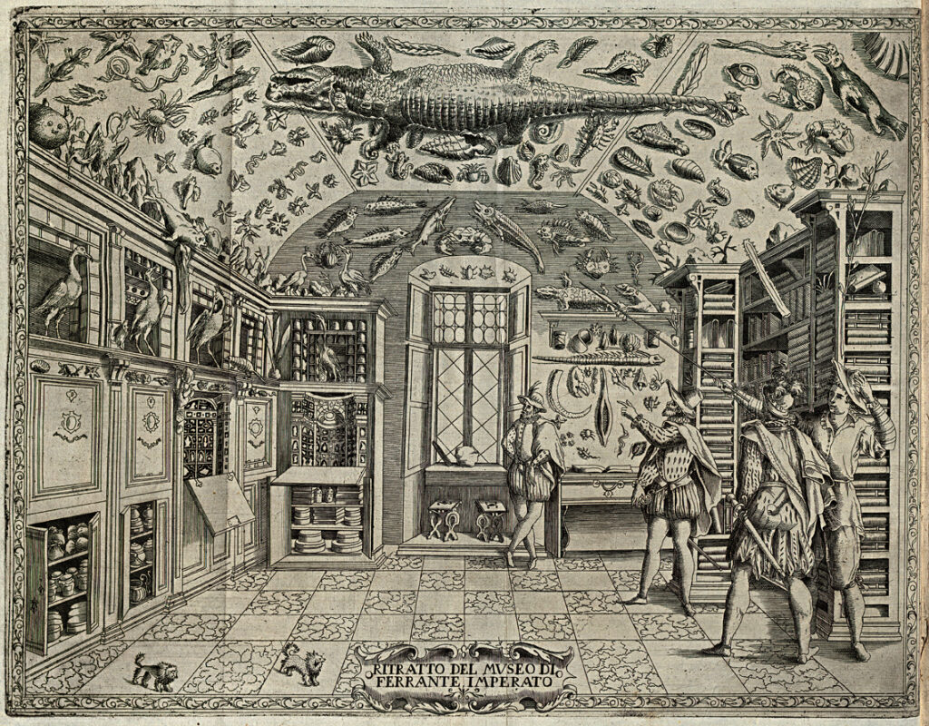 Kupferstich aus: “Dell’Historia Naturale” von Ferrante Imperato, Neapel 1599.