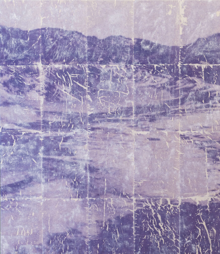 Massimiliano Rossetto: It grew like a forest after a fire, 2026, Papier, Fototransfer auf Leinwand. Foto © Marcel Rickli