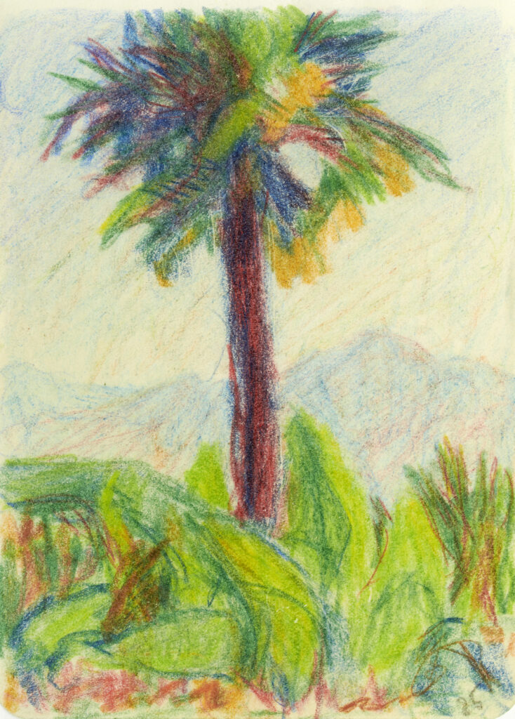 Sigismund Righini: Ohne Titel [Die Palme], 1925, Farbstift auf Papier, Inv.Nr. SR 488. Foto: Reto Pedrini © Stiftung Righini-Fries Zürich
